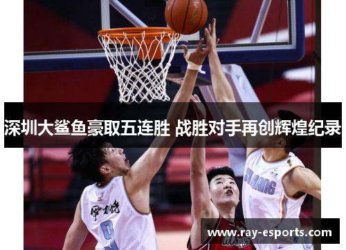 深圳大鲨鱼豪取五连胜 战胜对手再创辉煌纪录