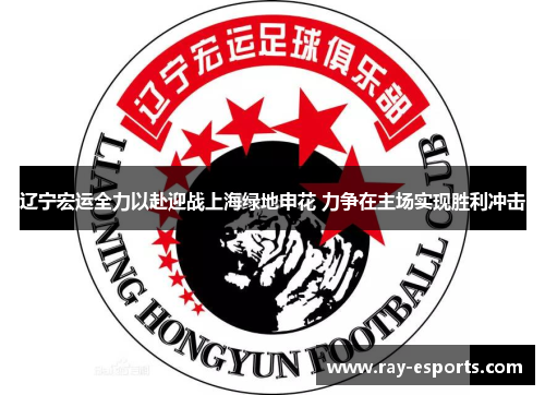辽宁宏运全力以赴迎战上海绿地申花 力争在主场实现胜利冲击