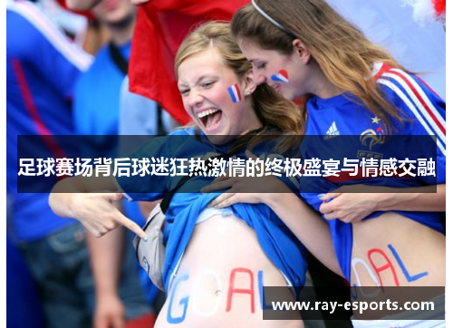 足球赛场背后球迷狂热激情的终极盛宴与情感交融