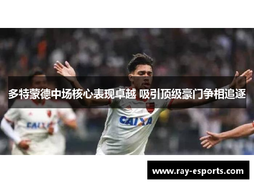 多特蒙德中场核心表现卓越 吸引顶级豪门争相追逐
