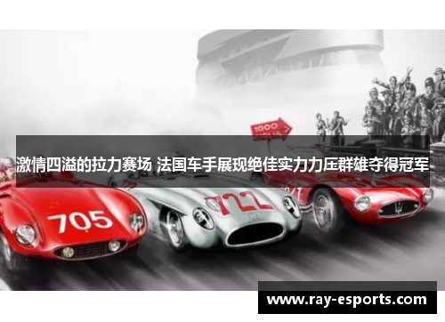 激情四溢的拉力赛场 法国车手展现绝佳实力力压群雄夺得冠军