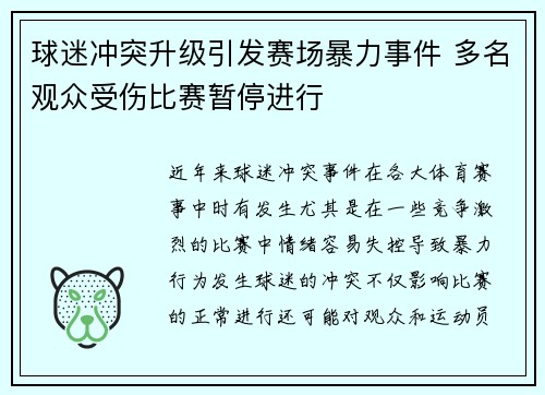 球迷冲突升级引发赛场暴力事件 多名观众受伤比赛暂停进行